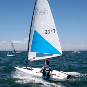 VELA LIGERA